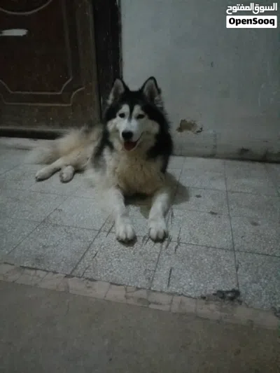 undefined 2