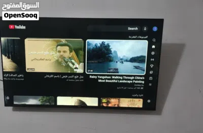 شاشة ايكو سمارت 55 بوصة 2