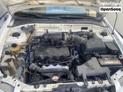 Hyundai Verna EX 2
