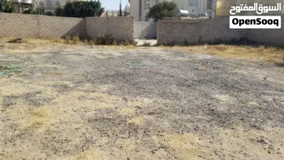 ارضيه للايجار بيت بوس خلف الجامعه اللبنانيه 2
