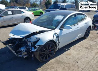 Tesla Model 3 Performance 2