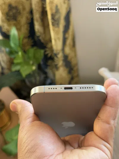 iPhone 17 Pro Max 256GB Natural titanium 3