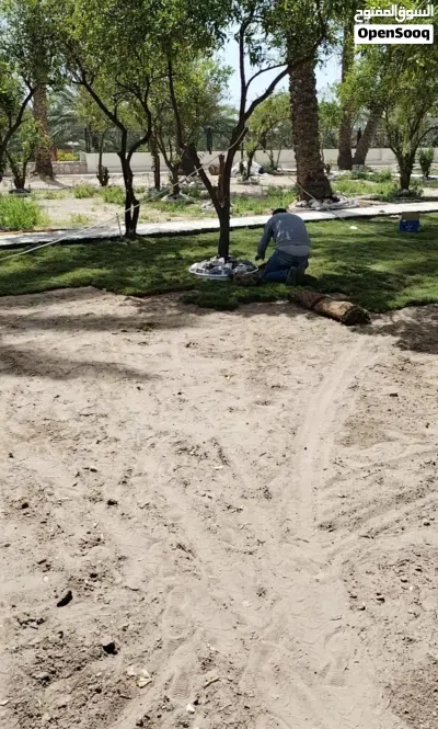 عمل الحدائق و الشلالات المنزلية و زراعة و تقليم النخيل و الاشجار. و مكافحة الارضة و الافات الزراعية 4