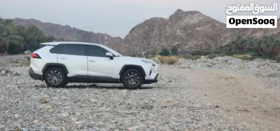 Toyota RAV 4 XLE 3