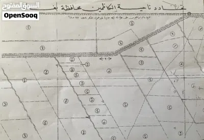 ارض زراعية منطقة الكشاشي 3
