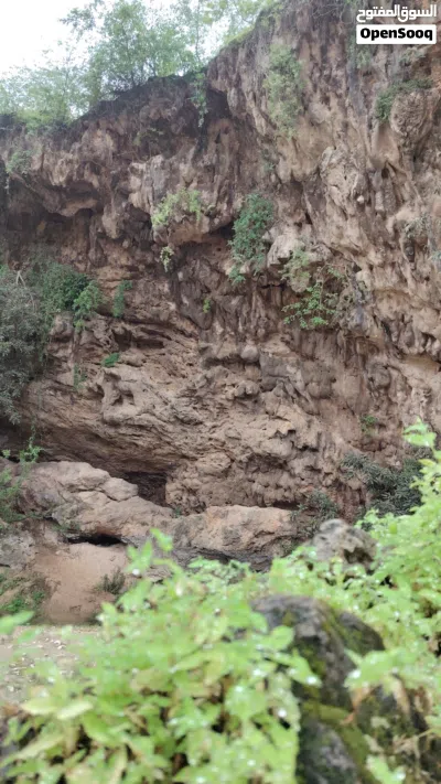 جوال نظيف ما كمل سنه فيه خدوش بسيطه جدا جدا لا تلحظ 4