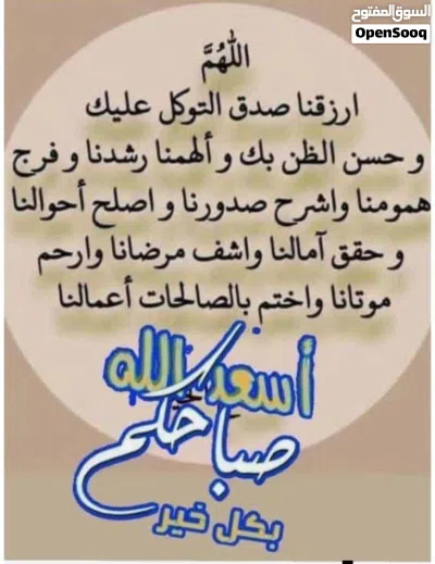 مطلوب شقة بجانب عمارات السكة السراج طريق جامع الصحابة للاستبدال بقطعة ارض 3