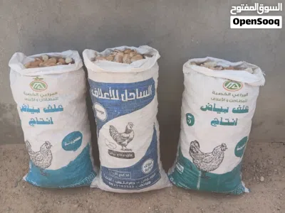 شولات نضيفه 2