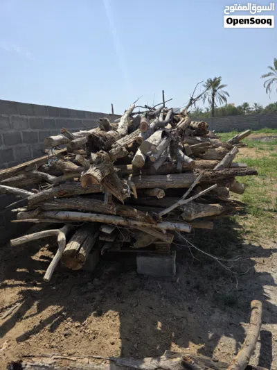 للبيع حطب اشجار متنوعه وصلبة 3