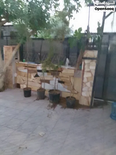 undefined 2