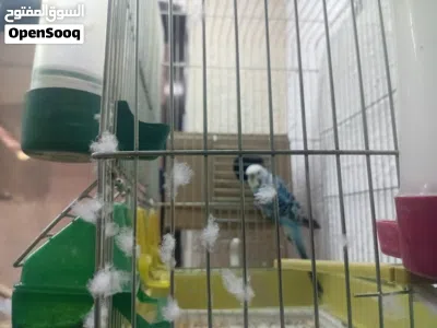 undefined 2