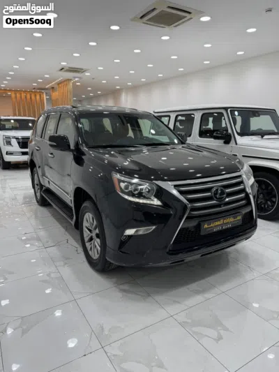 Lexus GX GX 460 Luxury 3
