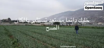 بيع اراضي مشروع مميز اول النصاريه 3