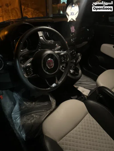 Fiat 500 Standard 2