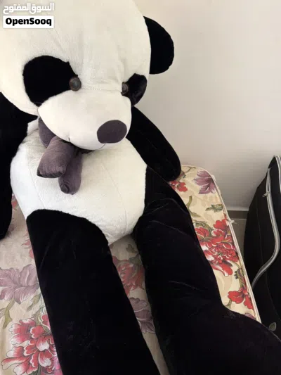 دب حجم كبير جداً نضيف م بدو غسيل 2