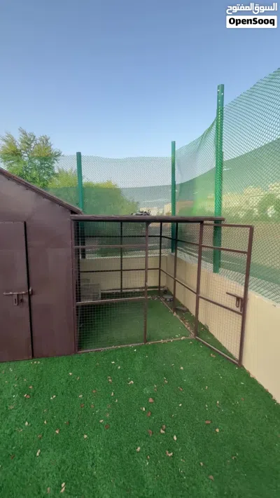 Dog House بيت للكلاب 4
