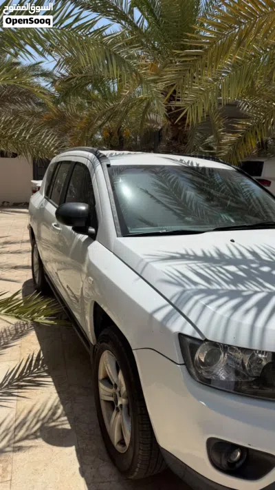 جيب كومباس Standard 2