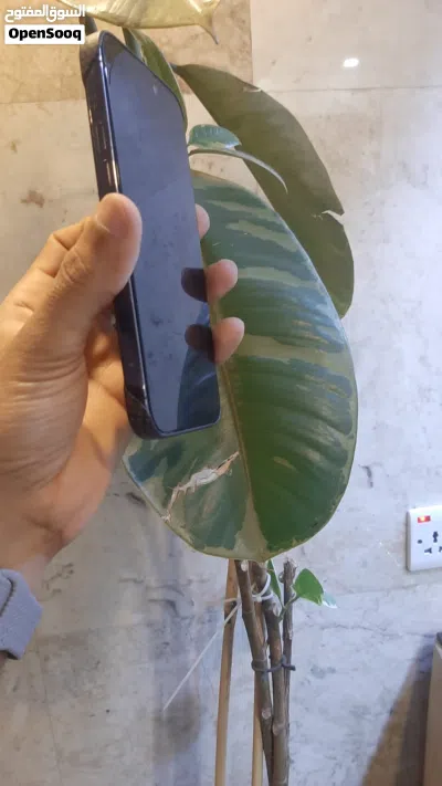 ايفون 14 برو ماكس 3