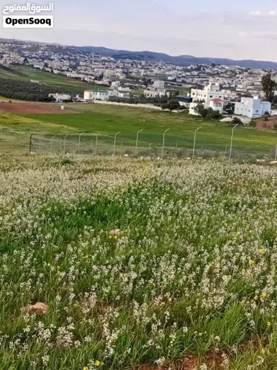 بيوت للبيع 3