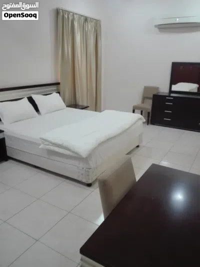 Furnished luxury Apartments 3