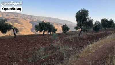 قطعة ارض للبيع 2