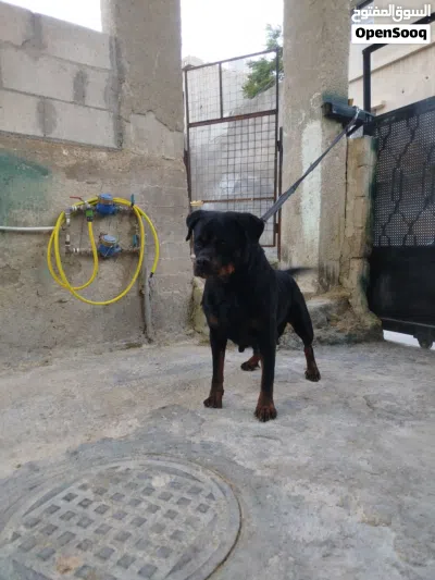 undefined 2
