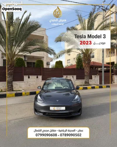 Tesla Model 3 Standard Plus 2