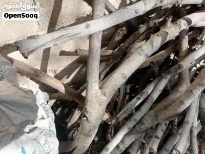 حطب للبيع شجر زيتون ولوز وسرو وتين ناشف قطع كبيرة قرامي بدون فروع 4