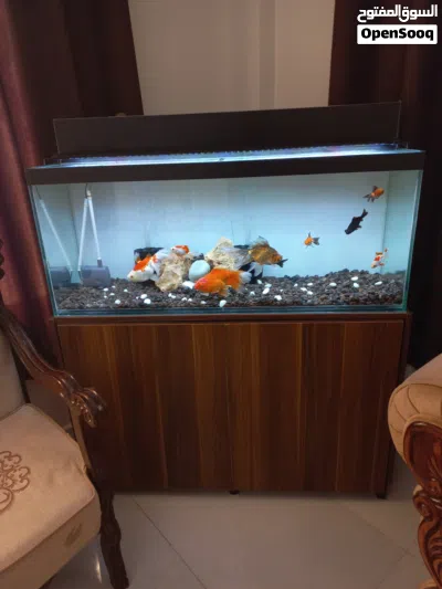 undefined 2