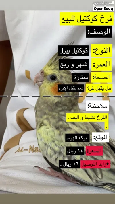 فرخ كوكتيل (اقرء الوصف) 3