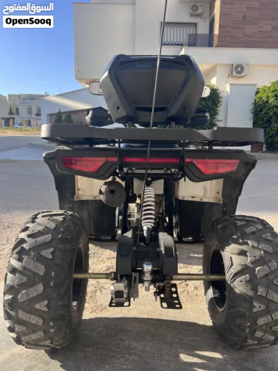 Buggy All Models 4