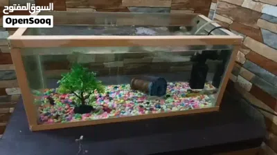 حوض سمك بحاله ممتازه 2