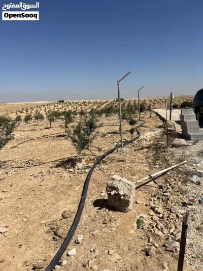مزرعه للبيع منطقة بريك تبعد عن جسر المطار 21 كيلو باتجاه الجنوب 4