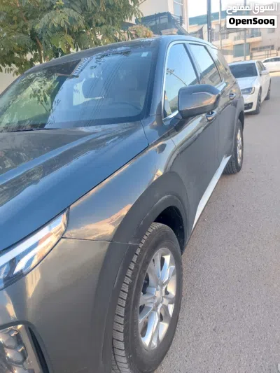 Hyundai Palisade SE 3