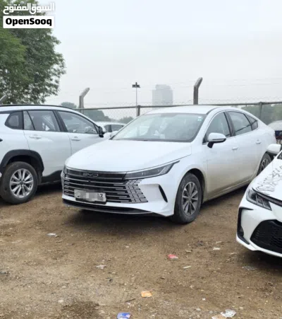 BYD Destroyer 05 4