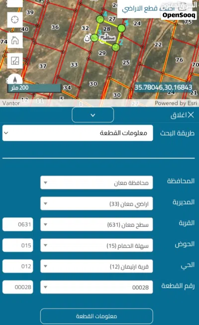 للبيع ب 250 دينار حصة ارض 143م مع شركاء ضمن 6 دونمات ،، قرب قصر الملك المؤسس معان 2