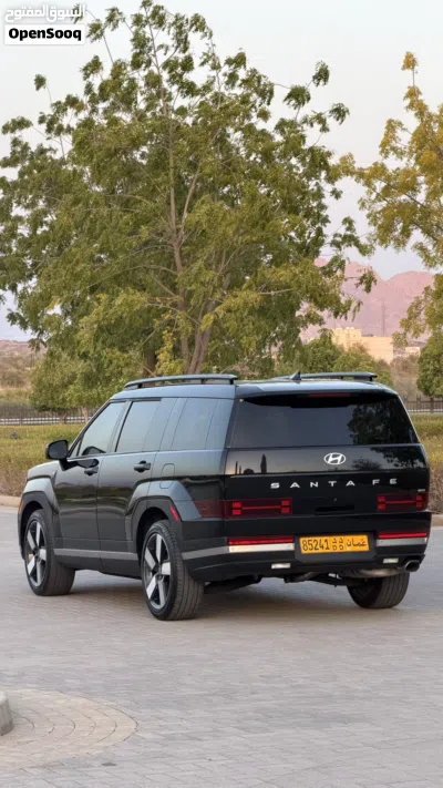 Hyundai Santa Fe Standard 4
