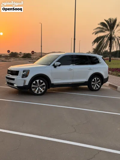 Kia Telluride EX 3