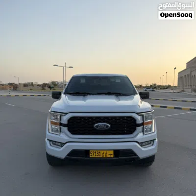 Ford F-150 Sport 2