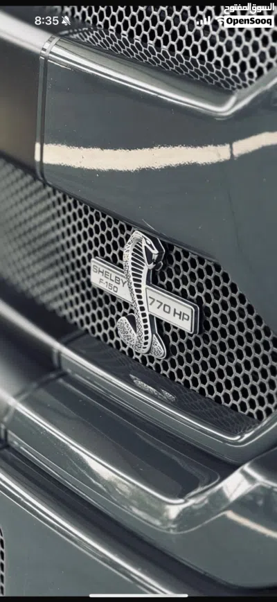 Ford F-150 Shelby 2
