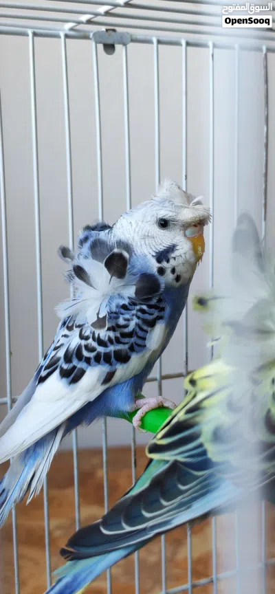 undefined 2