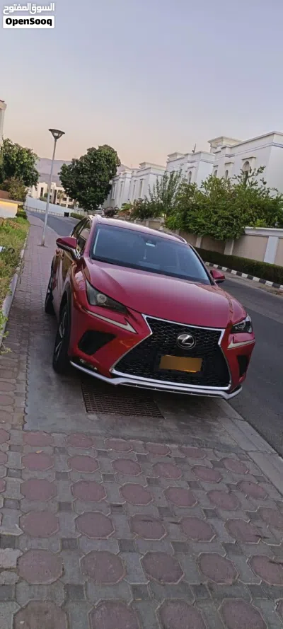 Lexus NX NX 300 3