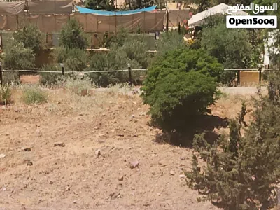 في أجمل مناطق ماحص ام الخال 3400م منطقة مزارع حديثة البناء مشغوله بشكل ممتاز ذات طابع ريفي قريبه 4