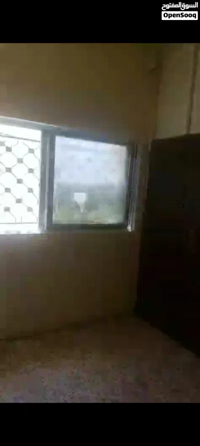 شقه حي الأمير محمد مسجد ابن ماجه 3