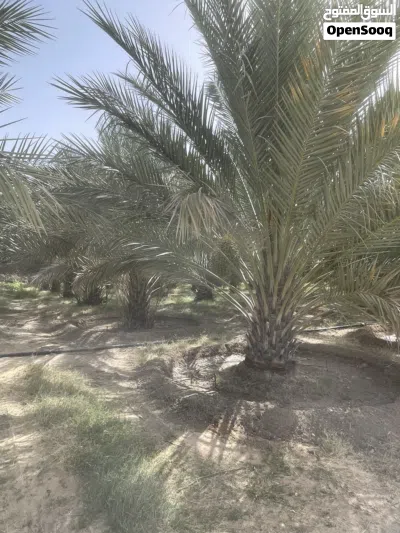 undefined 2