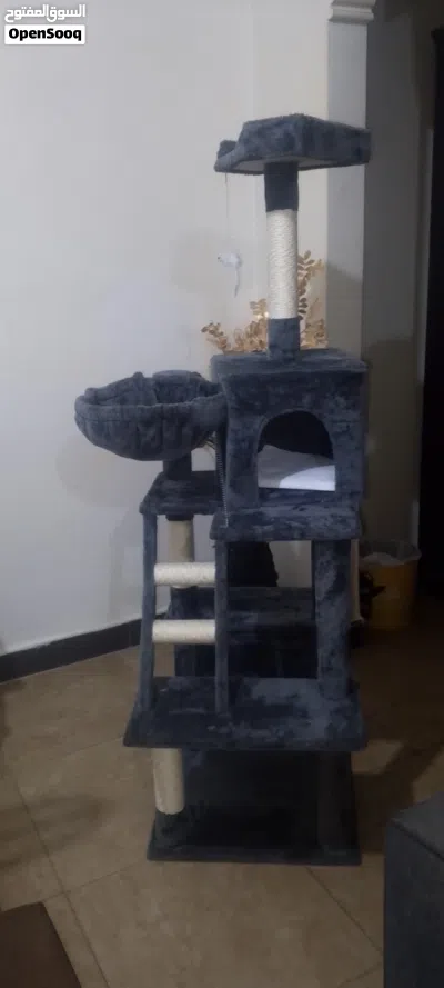 خداشه حجم كبير للقطط وبيت للقطط 3