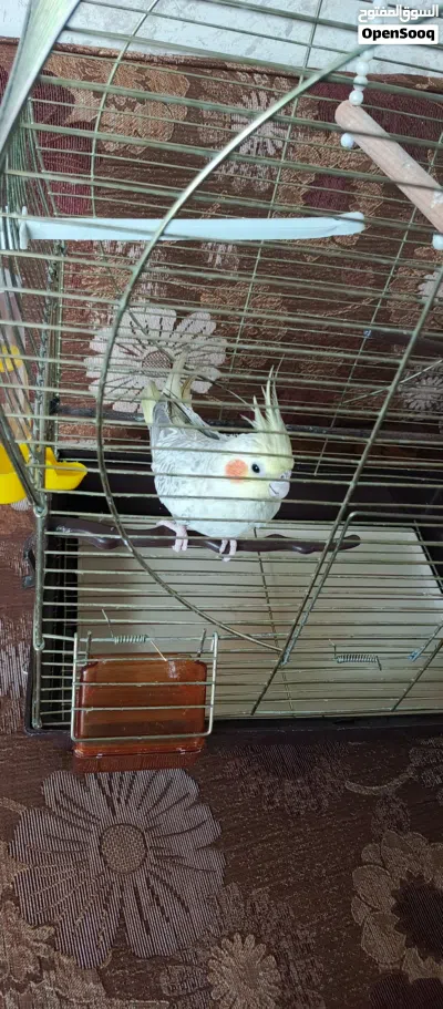 undefined 2