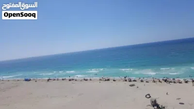 شقه تانى نمرة من البحر 2