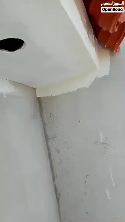 دهانات ديكورات منازل شقق فلل حمامات جديده 4