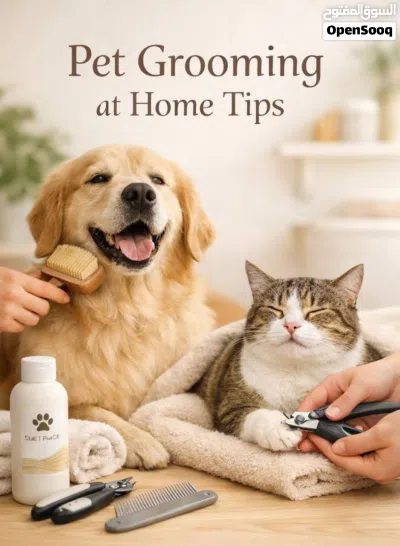Grooming for cats and dogs 3